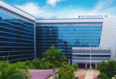 451 Perusahaan Jadi Penyelenggara Program Magang Nasional 2025, Terima Lulusan D1 hingga S1