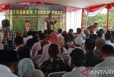 Mentan Amran Pastikan Distribusi Pupuk Berjalan Lancar Tanpa ada Keluhan