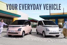 Mengejutkan, Adopsi Mobil Listrik Indonesia Lampaui Amerika Serikat