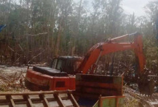 Penambangan Timah Ilegal di Belitung Makin Berani, HKM Juru Seberang Dihajar Ekskavator