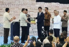 Satgas PKH Setor Rp11,4 Triliun ke Kas Negara dari Penertiban Hutan