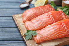 Inilah 7 Ikan Kaya Omega-3 untuk Kesehatan Tubuh dan Otak