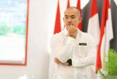 Jaminan Keamanan Jadi Magnet Investor untuk Berinvestasi di KEK Galang Batang