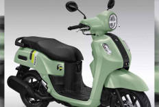 Pembaruan Fazzio Hybrid Series: Warna Segar dan Teknologi Canggih untuk Gen Z