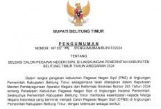 Seleksi CPNS 2024 Beltim Diumumkan, 206 Formasi Tersedia, Cek Jadwal Pendaftaran di Sini!