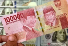 Rupiah Berpotensi Menguat Terhadap Dolar AS dengan Peluang Penurunan Suku Bunga AS