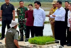 Dukung Ketahanan Pangan, Wapres Gibran dan Mentan Amran Serahkan Bantuan Rp 20 Miliar untuk Petani