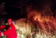Api Nyaris Merambat ke Perumahan Griya Permata 4, Damkar Belitung Berhasil Padamkan Karhutla