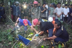 Buaya Lebih Besar Kembali Terlihat di Sungai Cerucuk, Pemdes Pasang Plang Himbauan Warga Waspada