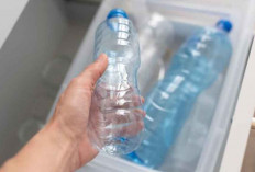 BPOM Terbitkan Aturan Baru untuk Melindungi Konsumen dari Bahaya BPA