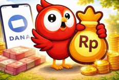 Cukup Baca dan Kumpulkan Poin, Saldo DANA Gratis Rp273.000 Bisa dari Aplikasi Penghasil Uang Ini