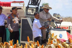 Wujudkan Swasembada Pangan, Prabowo Puji Menteri Pertanian Amran Sulaiman