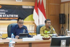 Nilai Tukar Petani Babel Turun di Desember 2025, Biaya Produksi Naik Lebih Cepat