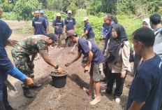  Prospek Budidaya Bawang Merah di Beltim Menjanjikan, Petani Ikut Sekolah Lapang