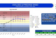 BMKG Sebut Tak Ada Indikasi El Nino Godzilla 2026, El Nino Lemah Berpotensi Muncul