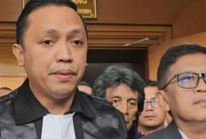 Ronny Talapessy Soroti Indikasi Politisasi dalam Proses Hukum Hasto Kristiyanto