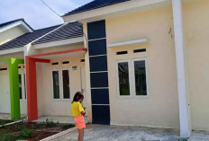 IAI Sebut Rumah Subsidi Tapak Minimal Harus 36 Meter Persegi