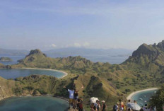Menyusuri Surga Tersembunyi NTT, Dari Pulau Padar Hingga Pink Beach