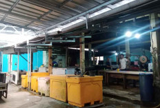 DKUKMPTK Belitung Bantah Penyalahgunaan Fasilitas Pasar Berehun untuk Usaha Fillet Ikan
