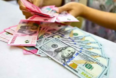 Pakar Ungkap Dampak Pelemahan Rupiah terhadap Harga BBM