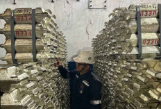 Wamen ESDM Sebut Kenaikan Harga Timah Dongkrak Penerimaan Negara