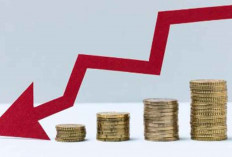 Banyak yang Nyesal! Kenali Dulu Tantangan Investasi Ritel di Indonesia