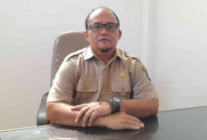 Jelang Idul Adha, Persediaan Bahan Pokok Aman dan Harga Fluktuatif