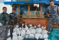 Kasus Penyelundupan Timah di Babel Terus Berulang, 7 Ton Barang Bukti Diamankan