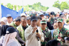 Kementan Luncurkan Brigade Pangan untuk Tingkatkan Partisipasi Generasi Muda di Sektor Pertanian