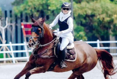 PORDASI Gelar Seleksi Atlet Horseback Archery di Bali untuk Kejuaraan Dunia