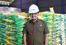 Bapanas Pastikan Perputaran Stok Beras Maksimal 6 Bulan untuk Menjaga Kualitas
