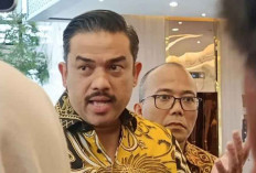 Realisasi KUR Capai Rp 238 Triliun hingga November, 83 Persen dari Target 2025