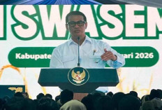 Swasembada Tercapai, Mentan Buka Peluang Ekspor Beras Tahun Ini