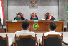 6 Tersangka Kasus Sawit di Belitung Melawan, Ajukan Kasasi ke Mahkamah Agung