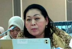 Komnas Perempuan Desak KemenPPPA Terbitkan Pedoman Child Grooming