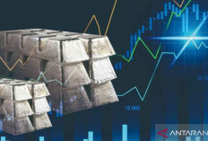 Naiknya Harga Timah dan Momentum Hilirisasi Industri Nasional