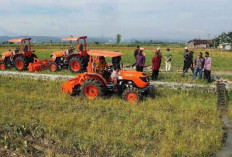 Kementan Percepat Pelaksanaan Tanam Padi untuk Wujudkan Swasembada Pangan