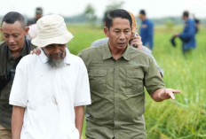 Bulog Pastikan Penyerapan Gabah Tetap Optimal Selama Ramadhan