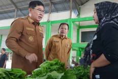 Kamarudin Muten Soroti Distribusi Hasil Pertanian Beltim Saat Tinjau Harga Sembako