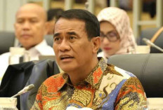 Kementan Siapkan Rp1,49 Triliun dan Usulkan Tambahan Rp5,1 Triliun untuk Pulihkan Pertanian Sumatera