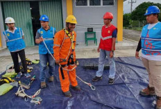Cegah Gangguan Kelistrikan di Belitung, PLN Imbau Masyarakat Tidak  Nambang Dekat Tower SUTT