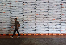 Stok Beras RI Tembus 4 Juta Ton, Pengamat: Bulog Punya PR Berat!