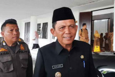 Gubernur Kepri Sebut Pemerintah Rencanakan Pengoperasian Pesawat N219 Perkuat Konektivitas Antar Pulau