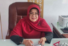 Babel Dorong Ekspor Komoditas Nontimah, Perkuat Rantai Pasok Lada, Ikan & Lidi Nipah