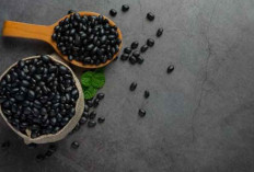 16 Makanan Tinggi Serat untuk Pencernaan Sehat yang Wajib Dikonsumsi