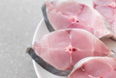 5 Manfaat Mengonsumsi Ikan Tuna yang Jarang Diketahui, Salah Satunya Menurunkan Kolesterol 