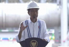 Jokowi Ungkap Potensi Pendapatan Negara Rp80 Triliun dari Investasi Pembangunan Smelter di Gresik