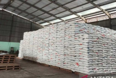 Stok Beras Bulog Belitung Awal 2026 Aman, Cukup hingga Ramadhan