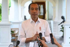 Presiden Jokowi Sumbang Sapi Kurban ke Seluruh Provinsi di Indonesia