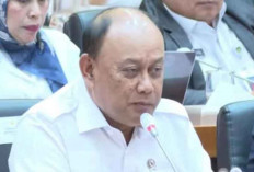 Dadan Hindayana: Rekrutmen PPPK BGN 2026 Berjumlah 99.000 Orang